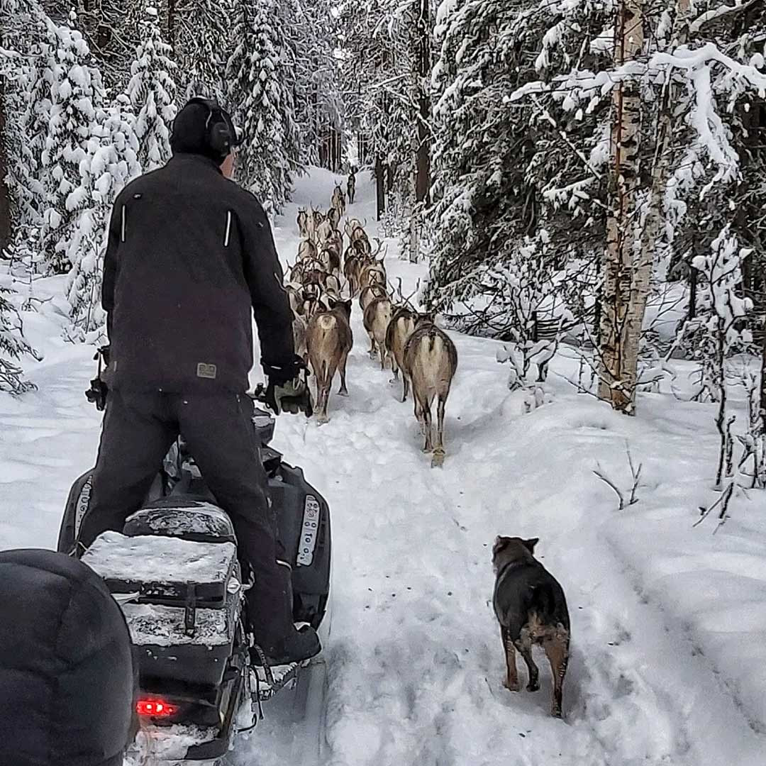 Lapponia svedese, 10 esperienze irrinunciabili da fare nell inverno artico