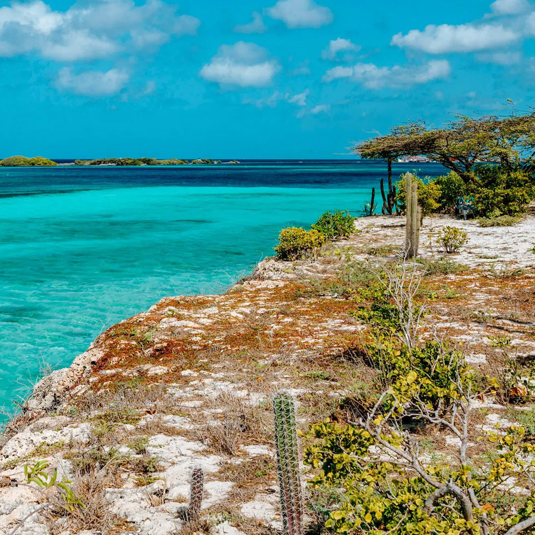 Viaggio ad Aruba, ma scordatevi i fenicotteri
